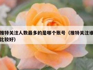 推特关注人数最多的是哪个账号（推特关注谁比较好）