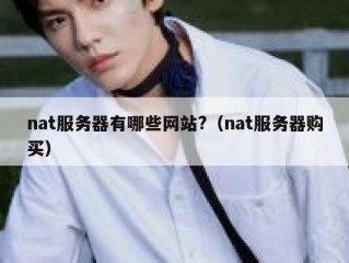 nat服务器有哪些网站?（nat服务器购买）