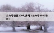 公众号粉丝200人多吗（公众号2000粉丝）