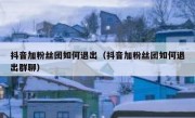 抖音加粉丝团如何退出（抖音加粉丝团如何退出群聊）