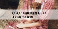 1,2,4,7,11的规律是什么（1 2 4 7 1有什么规律）