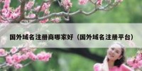 国外域名注册商哪家好（国外域名注册平台）