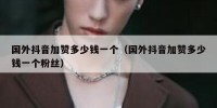 国外抖音加赞多少钱一个（国外抖音加赞多少钱一个粉丝）