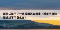 派币认证不了一直转圈怎么回事（派币手机验证通过不了怎么办）