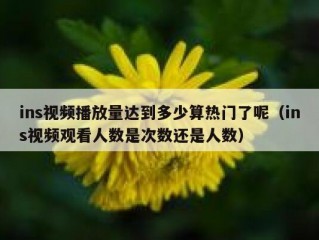 ins视频播放量达到多少算热门了呢（ins视频观看人数是次数还是人数）