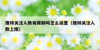 推特关注人数有限制吗怎么设置（推特关注人数上限）