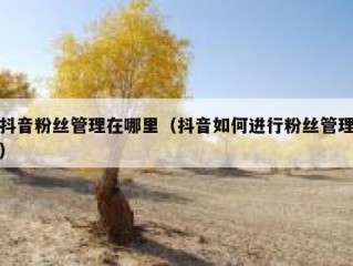 抖音粉丝管理在哪里（抖音如何进行粉丝管理）