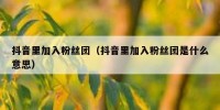 抖音里加入粉丝团（抖音里加入粉丝团是什么意思）