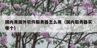 国内用国外软件服务器怎么用（国内服务器买哪个）