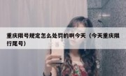 重庆限号规定怎么处罚的啊今天（今天重庆限行尾号）
