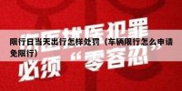 限行日当天出行怎样处罚（车辆限行怎么申请免限行）
