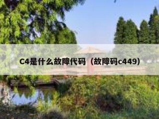 C4是什么故障代码（故障码c449）