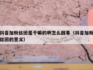 抖音加粉丝团是干嘛的啊怎么回事（抖音加粉丝团的意义）