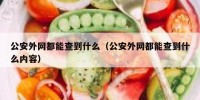 公安外网都能查到什么（公安外网都能查到什么内容）