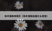 快手涨粉挣钱不（快手涨粉丝是什么意思）