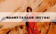 喝白水喝不下去怎么办呢（喝不了白水）