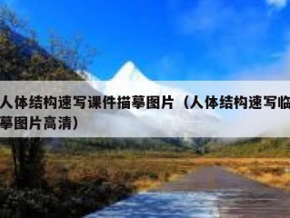 人体结构速写课件描摹图片（人体结构速写临摹图片高清）