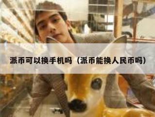 派币可以换手机吗（派币能换人民币吗）