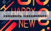 抖音粉丝群如何加（抖音粉丝群如何加好友）