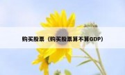 购买股票（购买股票算不算GDP）