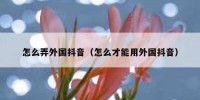 怎么弄外国抖音（怎么才能用外国抖音）