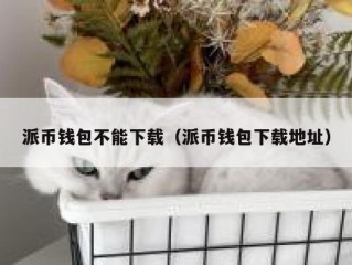 派币钱包不能下载（派币钱包下载地址）
