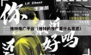 推特推广平台（推特的推广是什么意思）