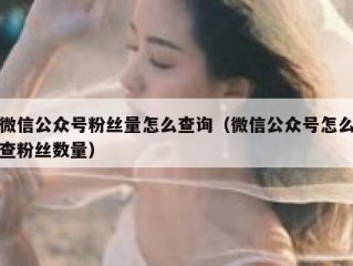 微信公众号粉丝量怎么查询（微信公众号怎么查粉丝数量）