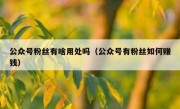 公众号粉丝有啥用处吗（公众号有粉丝如何赚钱）