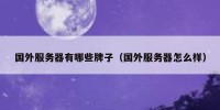 国外服务器有哪些牌子（国外服务器怎么样）
