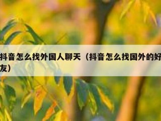 抖音怎么找外国人聊天（抖音怎么找国外的好友）