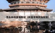 怎么给抖音加粉丝（抖音中如何加粉丝）