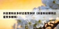 抖音里粉丝多好还是赞多好（抖音粉丝赚钱还是赞多赚钱）