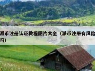 派币注册认证教程图片大全（派币注册有风险吗）