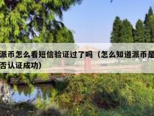 派币怎么看短信验证过了吗（怎么知道派币是否认证成功）