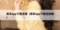 派币app下载流程（派币app下载流程图）
