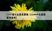 1247是什么意思爱情（1246什么意思爱情意思）