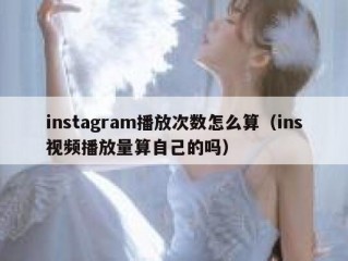 instagram播放次数怎么算（ins视频播放量算自己的吗）