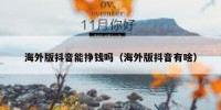 海外版抖音能挣钱吗（海外版抖音有啥）