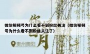 微信视频号为什么看不到粉丝关注（微信视频号为什么看不到粉丝关注了）