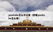youtube怎么可以看（想看youtube怎么看）