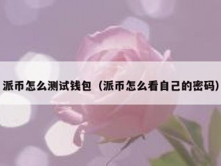 派币怎么测试钱包（派币怎么看自己的密码）