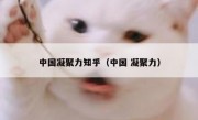 中国凝聚力知乎（中国 凝聚力）