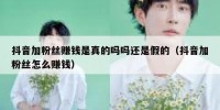 抖音加粉丝赚钱是真的吗吗还是假的（抖音加粉丝怎么赚钱）