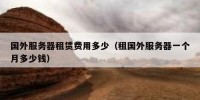 国外服务器租赁费用多少（租国外服务器一个月多少钱）