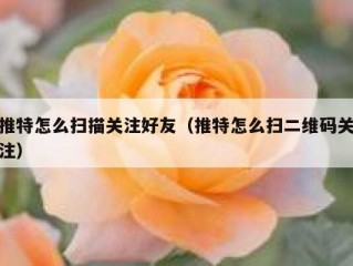 推特怎么扫描关注好友（推特怎么扫二维码关注）