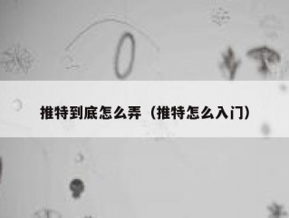 推特到底怎么弄（推特怎么入门）