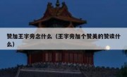 赞加王字旁念什么（王字旁加个赞美的赞读什么）