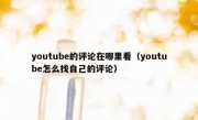 youtube的评论在哪里看（youtube怎么找自己的评论）