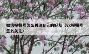 微信视频号怎么关注自己的好友（vx视频号怎么关注）